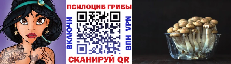 Псилоцибиновые грибы мицелий  цена   Альметьевск 